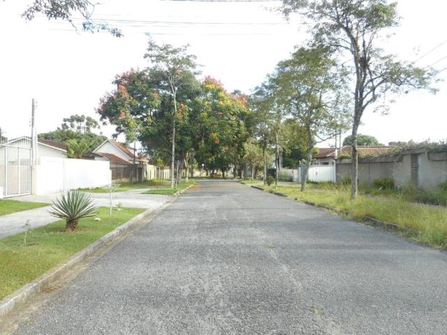 Terreno / Lote para Venda em Curitiba/PR Jardim Social