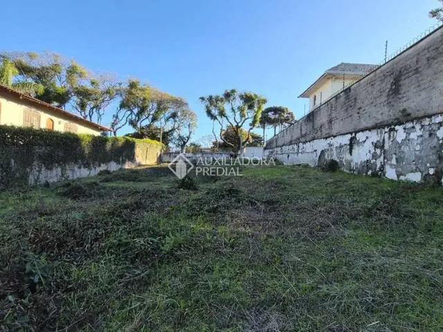 Terreno / Lote para Venda em Curitiba/PR Jardim Social