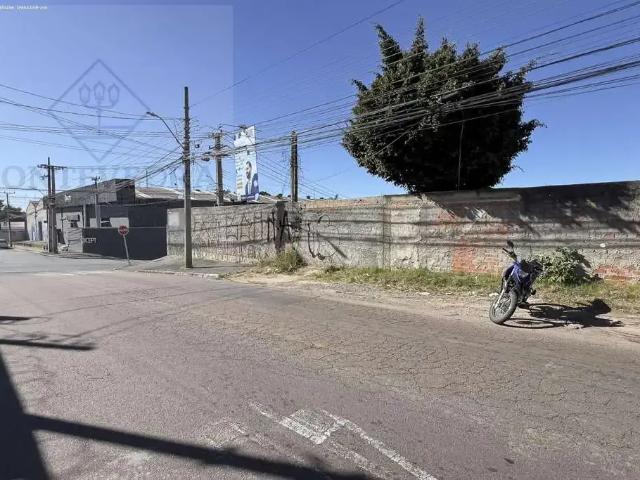 Terreno / Lote para Venda em Curitiba/PR Parolin