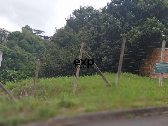 Terreno / Lote para Venda em Curitiba/PR Pilarzinho