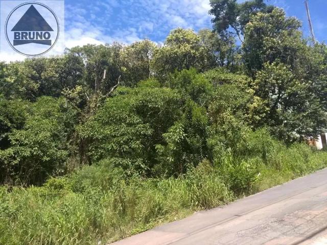 Terreno / Lote para Venda em Curitiba/PR Pilarzinho