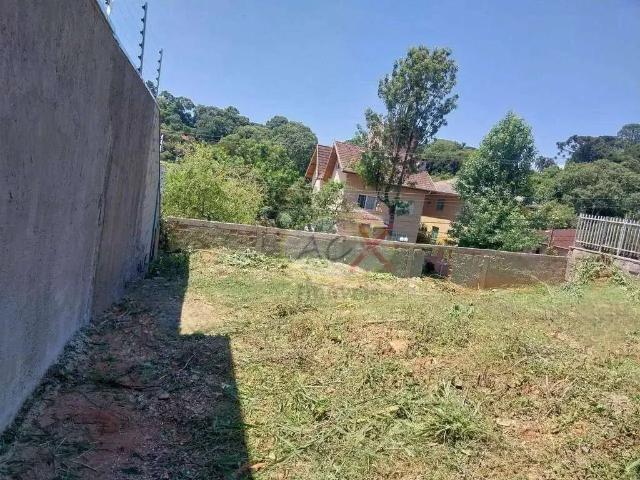 Terreno / Lote para Venda em Curitiba/PR Pilarzinho