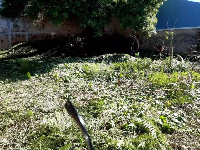 Terreno / Lote para Venda em Curitiba/PR Pilarzinho