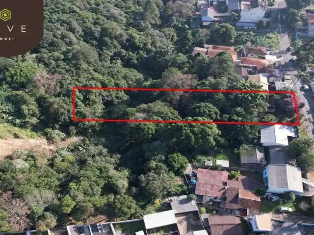 Terreno / Lote para Venda em Curitiba/PR Pilarzinho