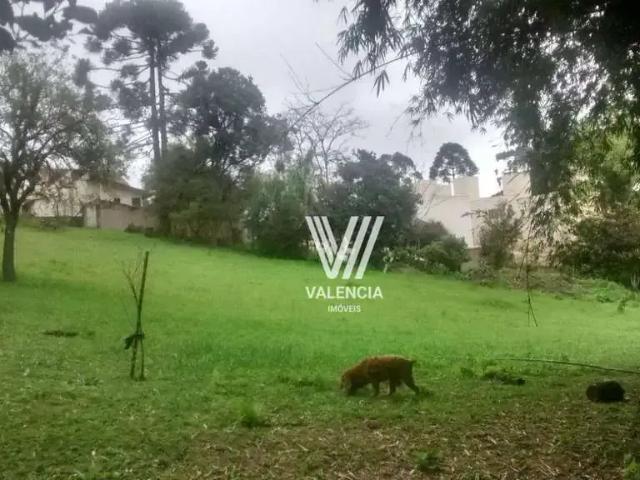 Terreno / Lote para Venda em Curitiba/PR Pilarzinho