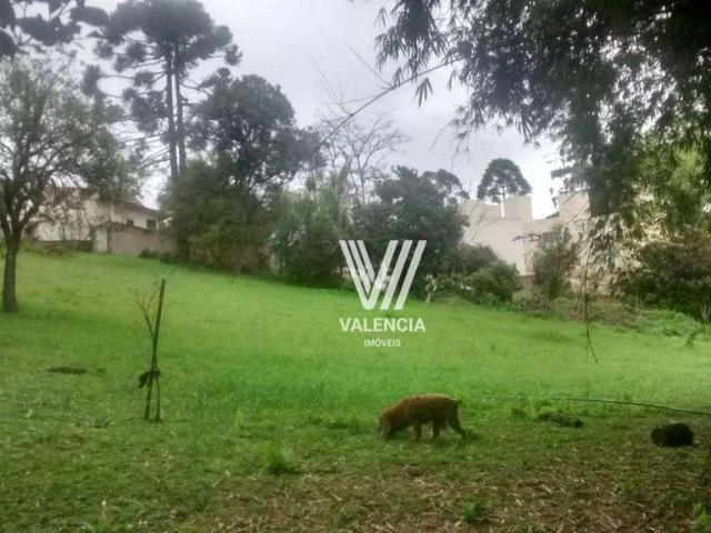 Terreno / Lote para Venda em Curitiba/PR Pilarzinho