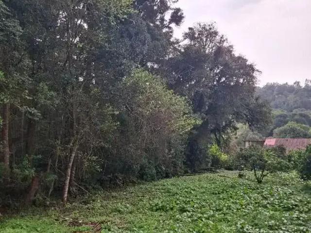 Terreno / Lote para Venda em Curitiba/PR Pilarzinho