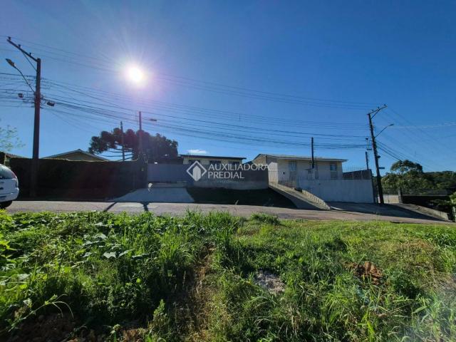 Terreno / Lote para Venda em Curitiba/PR Pilarzinho