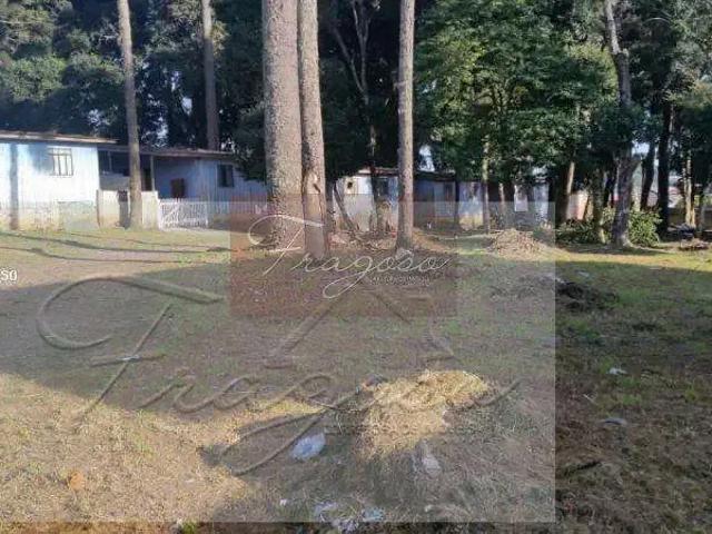 Terreno / Lote para Venda em Curitiba/PR Pinheirinho