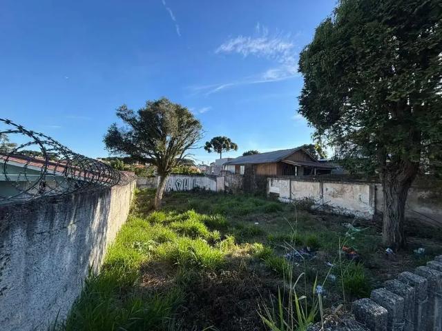 Terreno / Lote para Venda em Curitiba/PR Pinheirinho