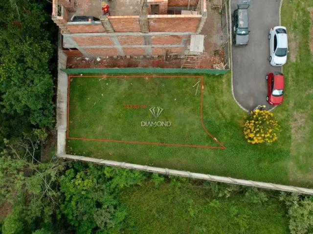 Terreno / Lote para Venda em Curitiba/PR Pinheirinho
