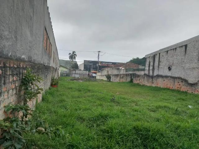 Terreno / Lote para Venda em Curitiba/PR Pinheirinho