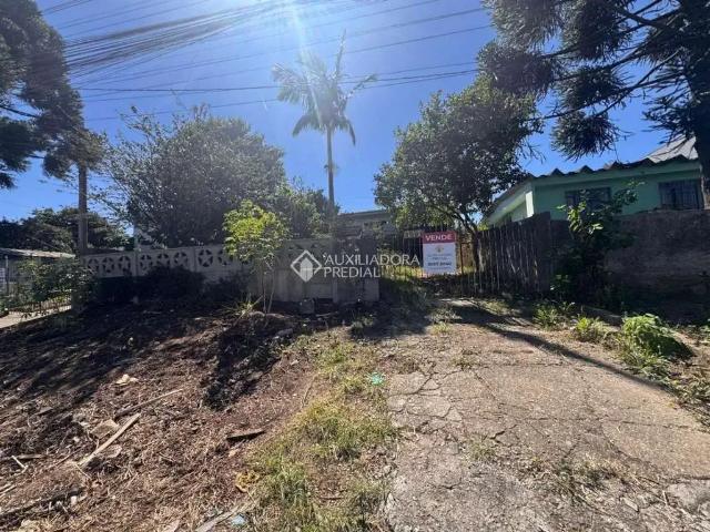 Terreno / Lote para Venda em Curitiba/PR Pinheirinho