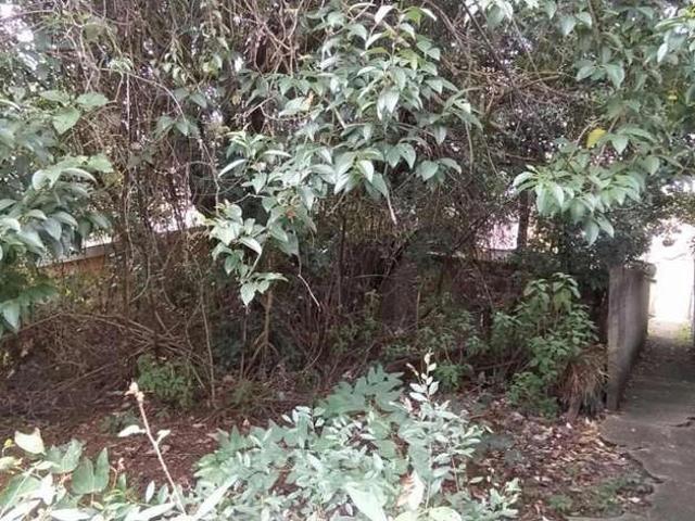 Terreno / Lote para Venda em Curitiba/PR Portão
