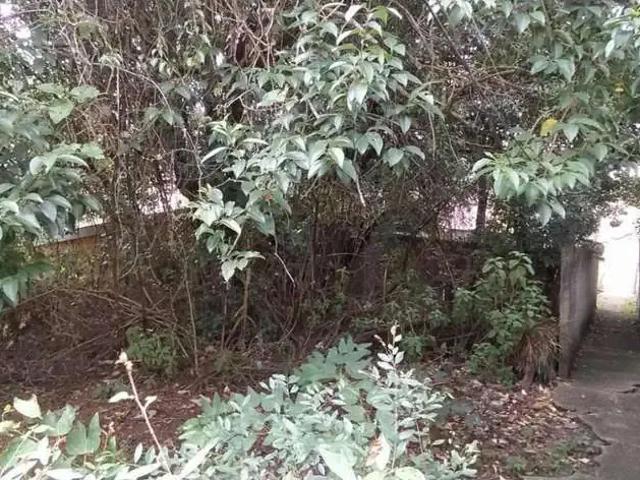 Terreno / Lote para Venda em Curitiba/PR Portão