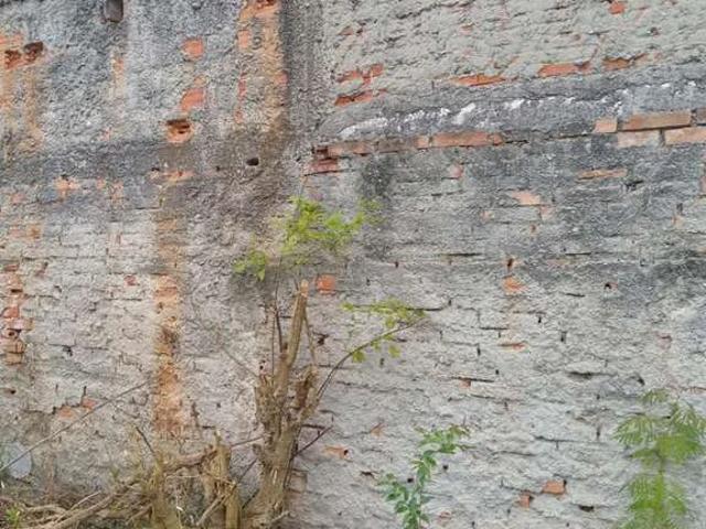 Terreno / Lote para Venda em Curitiba/PR Rebouças