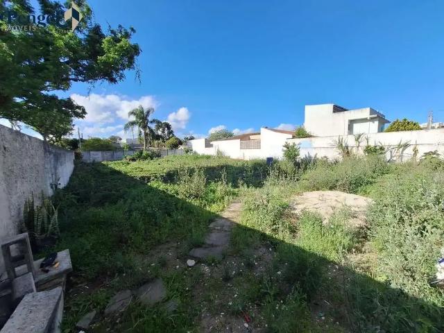 Terreno / Lote para Venda em Curitiba/PR Rebouças