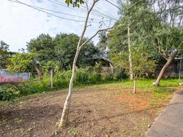 Terreno / Lote para Venda em Curitiba/PR São Braz