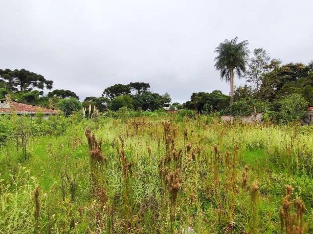 Terreno / Lote para Venda em Curitiba/PR São Braz