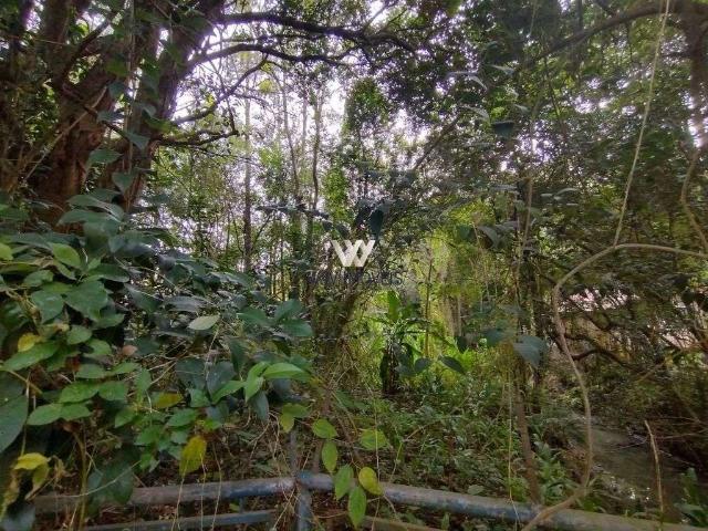 Terreno / Lote para Venda em Curitiba/PR São Lourenço
