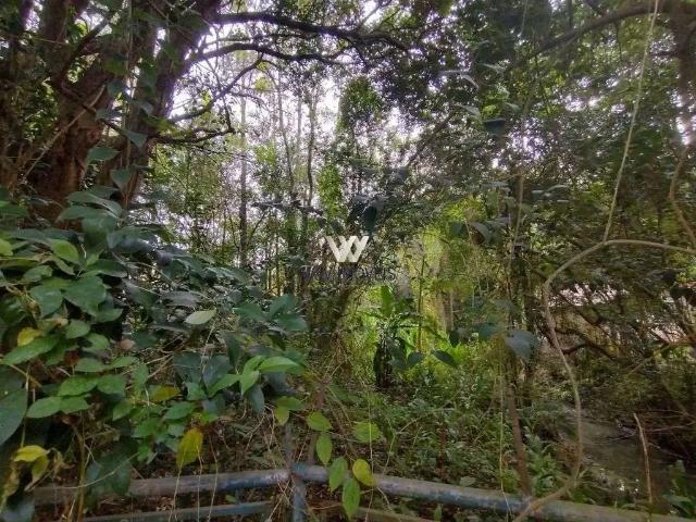 Terreno / Lote para Venda em Curitiba/PR São Lourenço