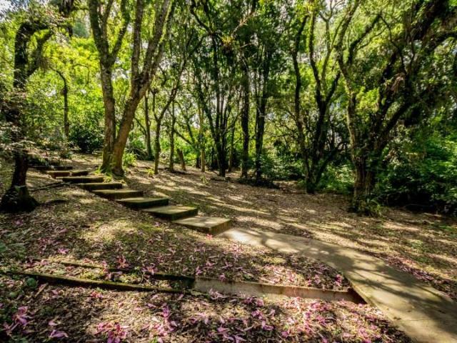 Terreno / Lote para Venda em Curitiba/PR São Lourenço