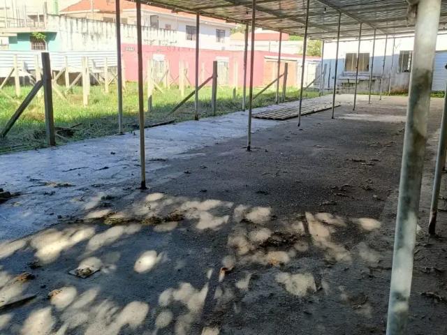 Terreno / Lote para Venda em Curitiba/PR São Lourenço