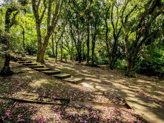 Terreno / Lote para Venda em Curitiba/PR São Lourenço
