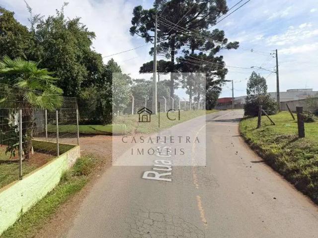 Terreno / Lote para Venda em Curitiba/PR São Miguel