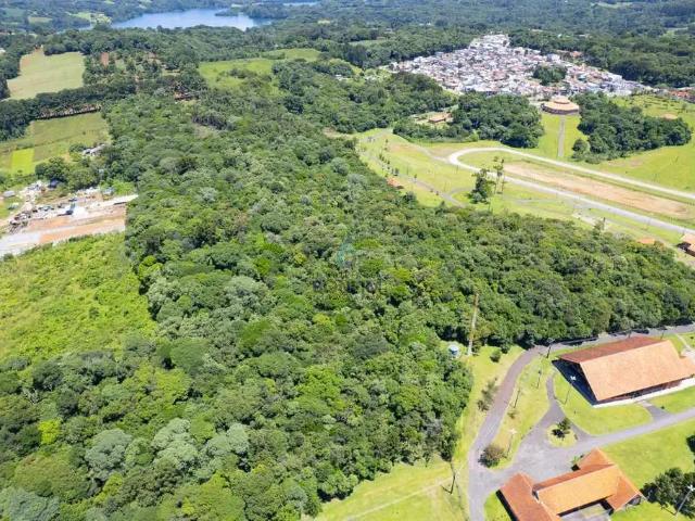 Terreno / Lote para Venda em Curitiba/PR São Miguel