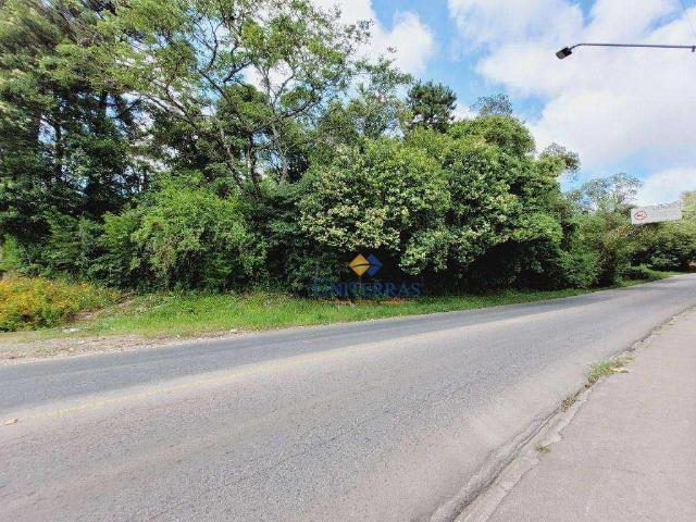Terreno / Lote para Venda em Curitiba/PR Santa Cândida