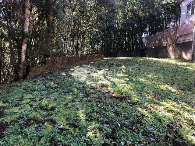 Terreno / Lote para Venda em Curitiba/PR Santa Cândida