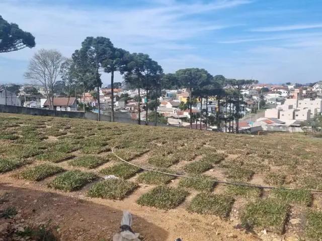 Terreno / Lote para Venda em Curitiba/PR Santa Cândida