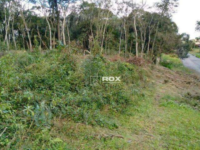 Terreno / Lote para Venda em Curitiba/PR Santa Felicidade