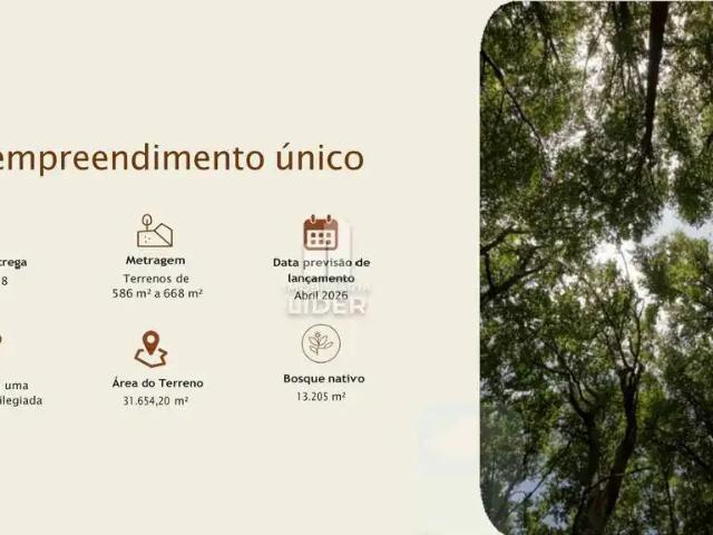 Terreno / Lote para Venda em Curitiba/PR Santa Felicidade