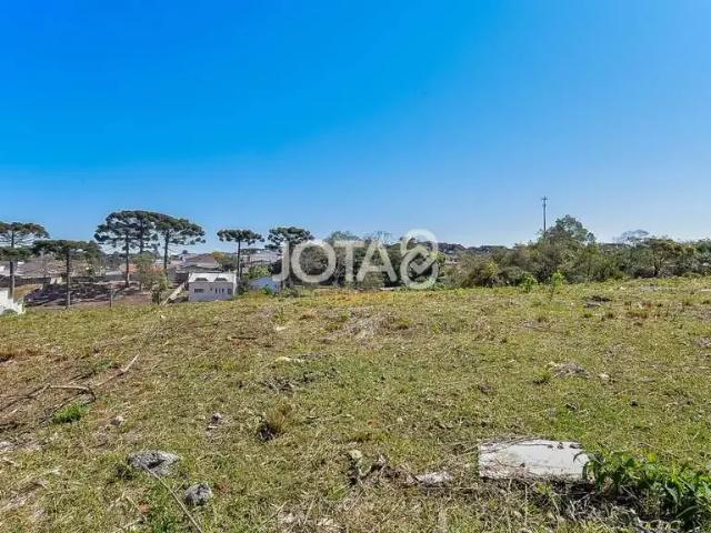Terreno / Lote para Venda em Curitiba/PR Santa Felicidade