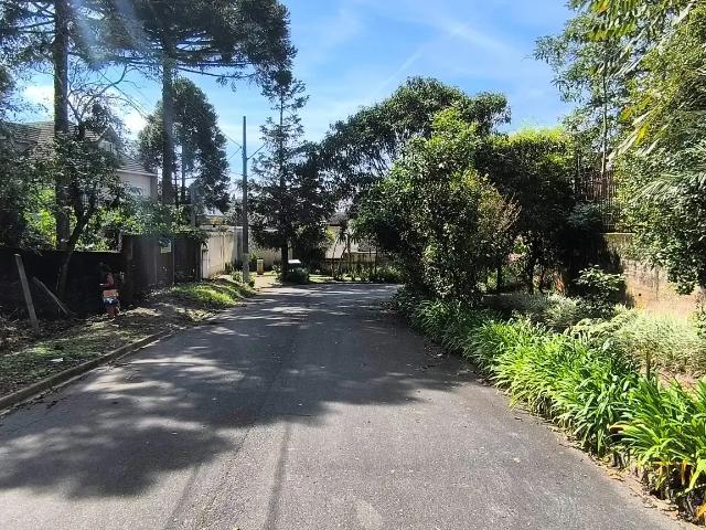 Terreno / Lote para Venda em Curitiba/PR Santa Felicidade