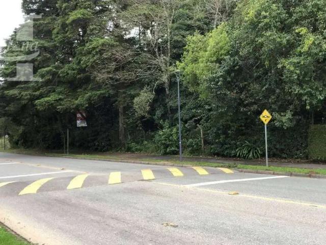 Terreno / Lote para Venda em Curitiba/PR Santa Felicidade
