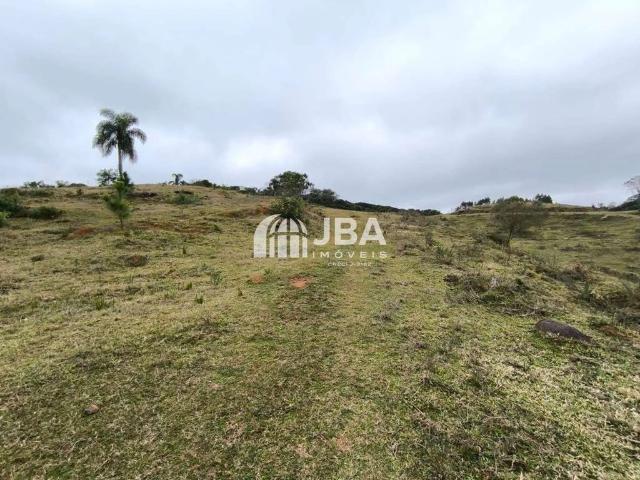 Terreno / Lote para Venda em Curitiba/PR Santa Felicidade