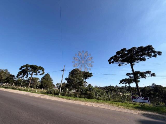 Terreno / Lote para Venda em Curitiba/PR Santa Felicidade