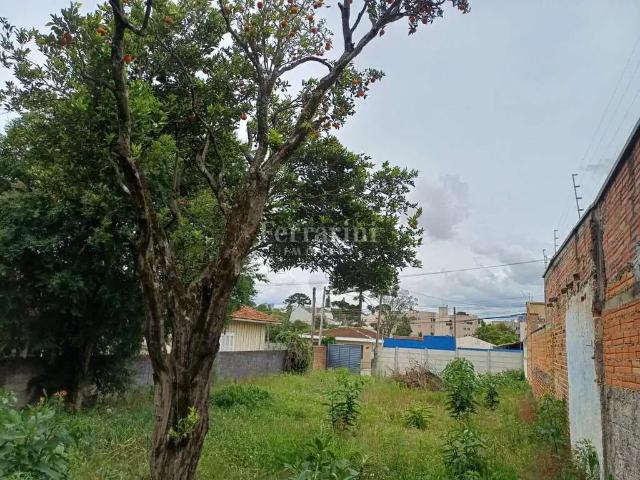 Terreno / Lote para Venda em Curitiba/PR Santa Quitéria