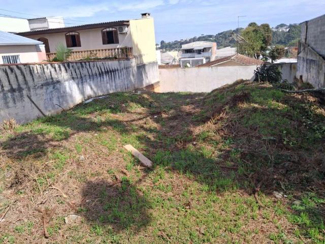Terreno / Lote para Venda em Curitiba/PR Santa Quitéria