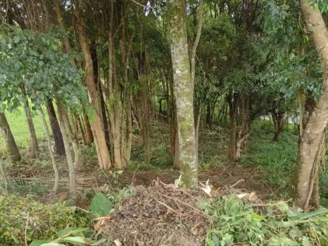 Terreno / Lote para Venda em Curitiba/PR Santo Inácio