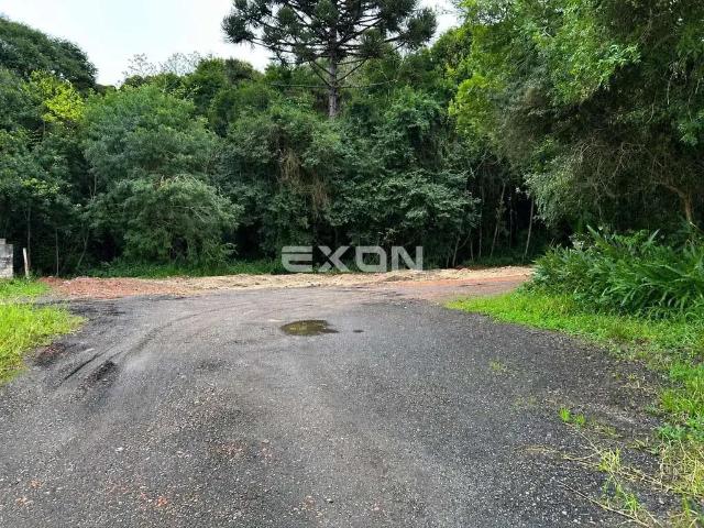 Terreno / Lote para Venda em Curitiba/PR Santo Inácio