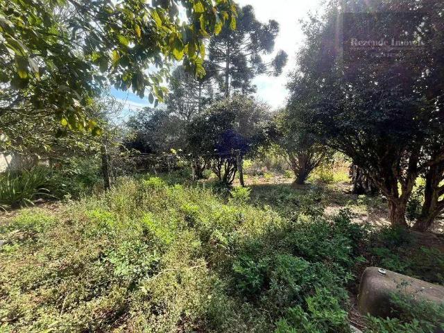 Terreno / Lote para Venda em Curitiba/PR Santo Inácio