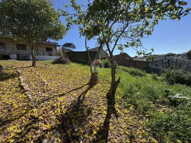 Terreno / Lote para Venda em Curitiba/PR Santo Inácio