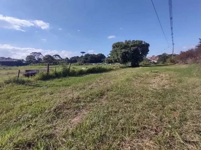 Terreno / Lote para Venda em Curitiba/PR Sítio Cercado