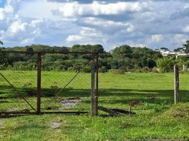 Terreno / Lote para Venda em Curitiba/PR Taboão