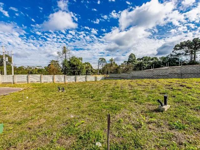 Terreno / Lote para Venda em Curitiba/PR Taboão