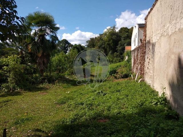 Terreno / Lote para Venda em Curitiba/PR Taboão